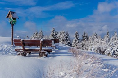 First small winter hike along the Rennsteig through the Thuringian Forest - Schneekopf/Germany