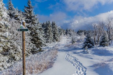 First small winter hike along the Rennsteig through the Thuringian Forest - Schneekopf/Germany
