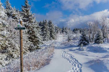 First small winter hike along the Rennsteig through the Thuringian Forest - Schneekopf/Germany