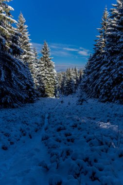 First small winter hike along the Rennsteig through the Thuringian Forest - Schneekopf/Germany