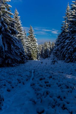 First small winter hike along the Rennsteig through the Thuringian Forest - Schneekopf/Germany
