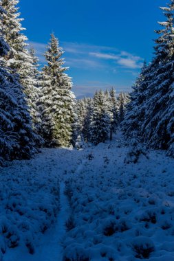 First small winter hike along the Rennsteig through the Thuringian Forest - Schneekopf/Germany