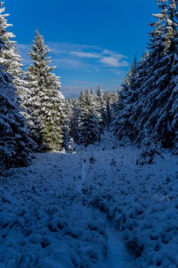 First small winter hike along the Rennsteig through the Thuringian Forest - Schneekopf/Germany