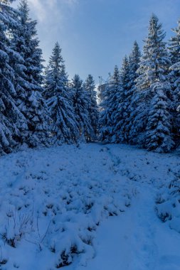 First small winter hike along the Rennsteig through the Thuringian Forest - Schneekopf/Germany