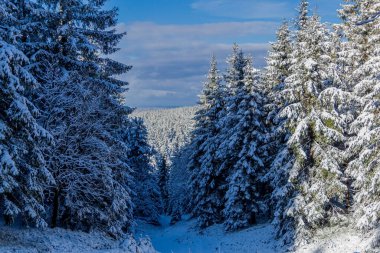 First small winter hike along the Rennsteig through the Thuringian Forest - Schneekopf/Germany