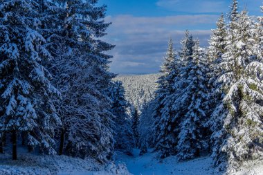 First small winter hike along the Rennsteig through the Thuringian Forest - Schneekopf/Germany