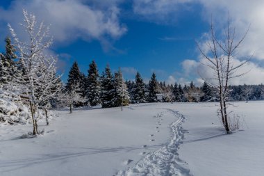 First small winter hike along the Rennsteig through the Thuringian Forest - Schneekopf/Germany