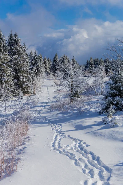 First Small Winter Hike Rennsteig Thuringian Forest Schneekopf Germany — 图库照片