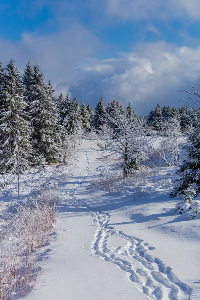 First Small Winter Hike Rennsteig Thuringian Forest Schneekopf Germany — 图库照片