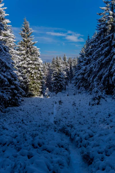 First Small Winter Hike Rennsteig Thuringian Forest Schneekopf Germany — Zdjęcie stockowe
