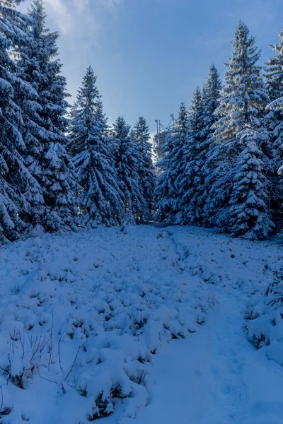 Primeira Pequena Caminhada Inverno Longo Rennsteig Através Floresta Turíngia Schneekopf — Fotografia de Stock