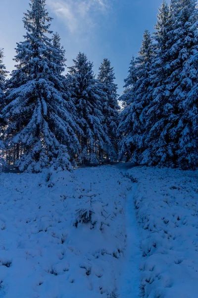 Primeira Pequena Caminhada Inverno Longo Rennsteig Através Floresta Turíngia Schneekopf — Fotografia de Stock