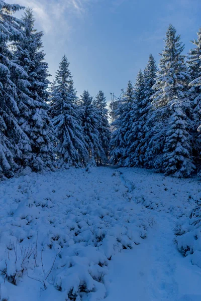 First Small Winter Hike Rennsteig Thuringian Forest Schneekopf Germany — 스톡 사진