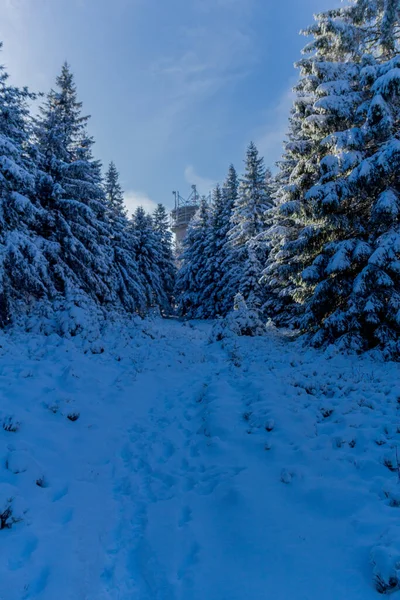 First Small Winter Hike Rennsteig Thuringian Forest Schneekopf Germany — 스톡 사진