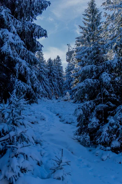 First Small Winter Hike Rennsteig Thuringian Forest Schneekopf Germany — Stock Fotó