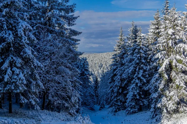 First Small Winter Hike Rennsteig Thuringian Forest Schneekopf Germany — Stock Fotó