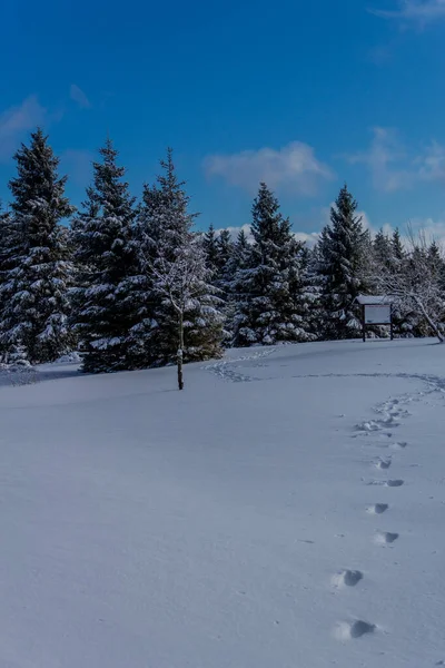 First Small Winter Hike Rennsteig Thuringian Forest Schneekopf Germany — Stock Fotó