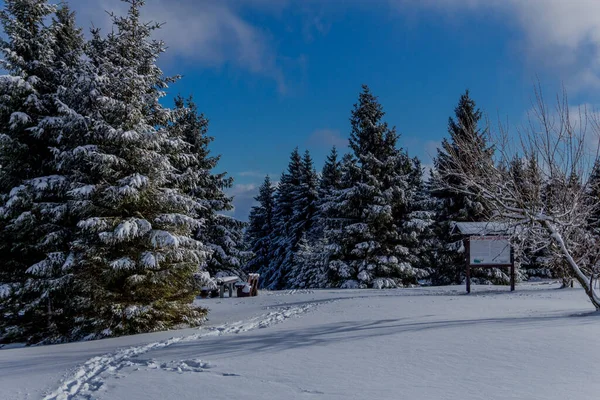 First Small Winter Hike Rennsteig Thuringian Forest Schneekopf Germany — Stock Fotó