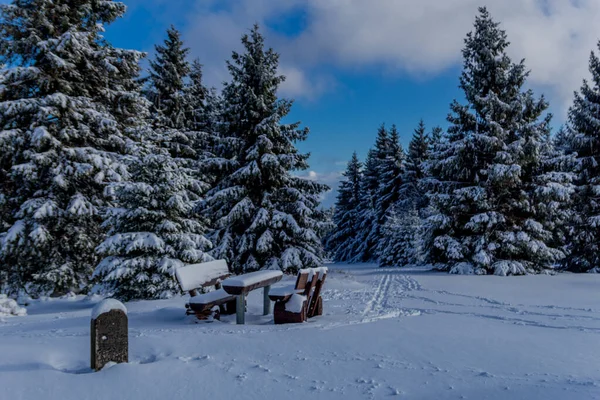 First Small Winter Hike Rennsteig Thuringian Forest Schneekopf Germany — Zdjęcie stockowe