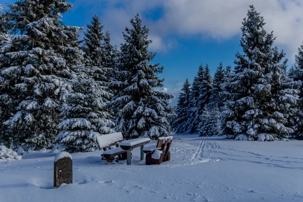 Первый Небольшой Зимний Поход Вдоль Реннштайга Через Тюрингский Лес Шникопф — стоковое фото