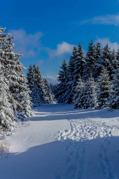 First Small Winter Hike Rennsteig Thuringian Forest Schneekopf Germany — 图库照片