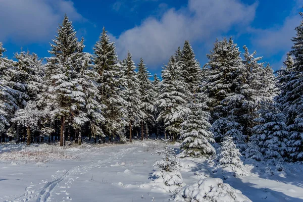 First Small Winter Hike Rennsteig Thuringian Forest Schneekopf Germany — Stockfoto