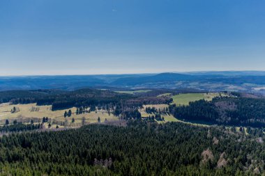 Güneşli bir günde ilk bahar yürüyüşü Thuringian Ormanı 'nda - Steinbach-Hallenberg / Almanya