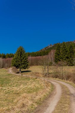 Güneşli bir günde ilk bahar yürüyüşü Thuringian Ormanı 'nda - Steinbach-Hallenberg / Almanya