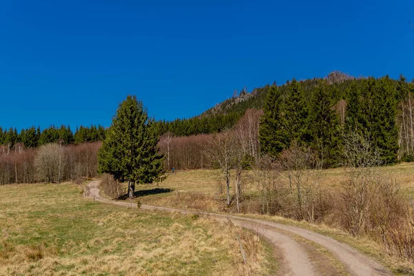 Güneşli Bir Günde Ilk Bahar Yürüyüşü Thuringian Ormanı Nda Steinbach — Stok fotoğraf