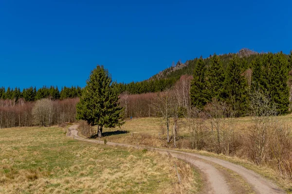 Erster Frühlingsspaziergang Einem Sonnigen Tag Durch Den Thüringer Wald Steinbach — Stockfoto