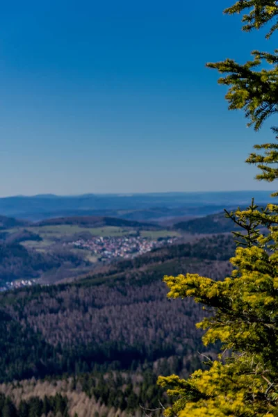 Primeiro Passeio Primavera Dia Ensolarado Pela Floresta Turíngia Steinbach Hallenberg — Fotografia de Stock