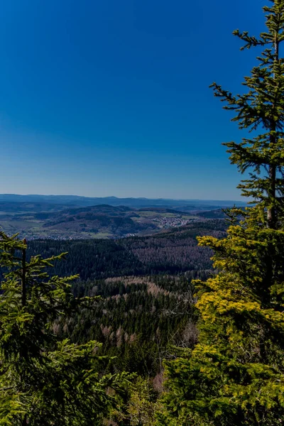 Primera Caminata Primavera Día Soleado Través Del Bosque Turingia Steinbach — Foto de Stock