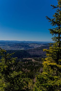 Güneşli bir günde ilk bahar yürüyüşü Thuringian Ormanı 'nda - Steinbach-Hallenberg / Almanya
