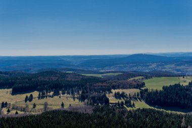 Güneşli bir günde ilk bahar yürüyüşü Thuringian Ormanı 'nda - Steinbach-Hallenberg / Almanya