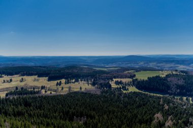 Güneşli bir günde ilk bahar yürüyüşü Thuringian Ormanı 'nda - Steinbach-Hallenberg / Almanya