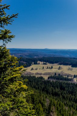 Güneşli bir günde ilk bahar yürüyüşü Thuringian Ormanı 'nda - Steinbach-Hallenberg / Almanya
