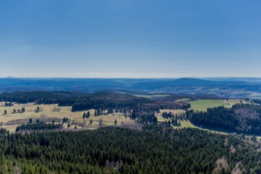 Güneşli bir günde ilk bahar yürüyüşü Thuringian Ormanı 'nda - Steinbach-Hallenberg / Almanya
