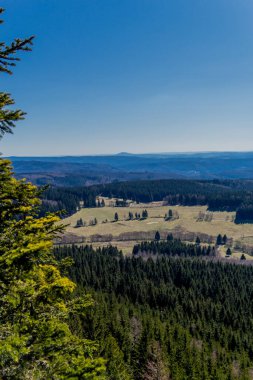 Güneşli bir günde ilk bahar yürüyüşü Thuringian Ormanı 'nda - Steinbach-Hallenberg / Almanya