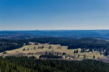 Güneşli bir günde ilk bahar yürüyüşü Thuringian Ormanı 'nda - Steinbach-Hallenberg / Almanya
