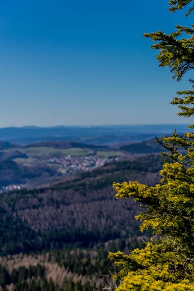 První Jarní Procházka Slunečného Dne Durynským Lesem Steinbach Hallenberg Německo — Stock fotografie