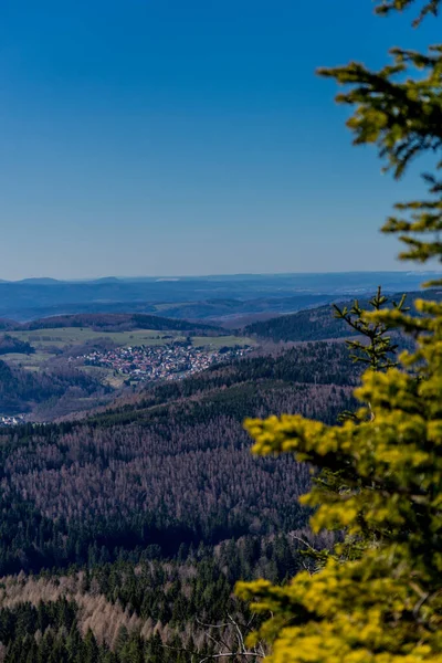 First Spring Walk Sunny Day Thuringian Forest Steinbach Hallenberg Germany — Stock Photo, Image