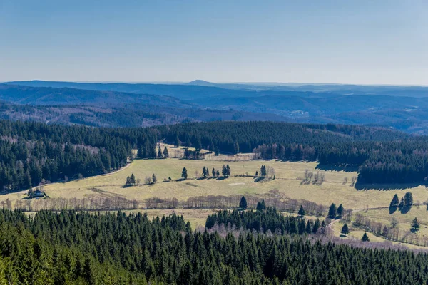 Erster Frühlingsspaziergang Einem Sonnigen Tag Durch Den Thüringer Wald Steinbach — Stockfoto