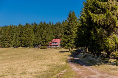 Thringer Wald / Almanya 'da Thringer Ormanı boyunca farklı yerlerde yürüyüş yapmak