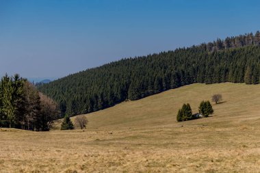 Thringer Wald / Almanya 'da Thringer Ormanı boyunca farklı yerlerde yürüyüş yapmak