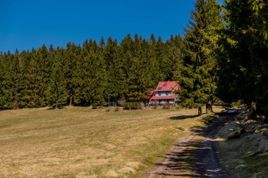 Thringer Wald / Almanya 'da Thringer Ormanı boyunca farklı yerlerde yürüyüş yapmak