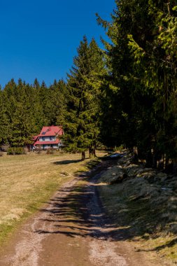Thringer Wald / Almanya 'da Thringer Ormanı boyunca farklı yerlerde yürüyüş yapmak