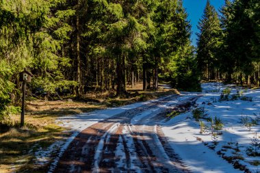 Thringer Wald / Almanya 'da Thringer Ormanı boyunca farklı yerlerde yürüyüş yapmak