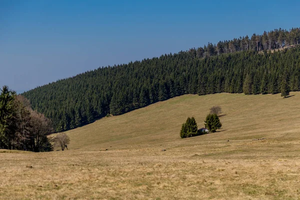 Thringer Wald / Almanya 'da Thringer Ormanı boyunca farklı yerlerde yürüyüş yapmak
