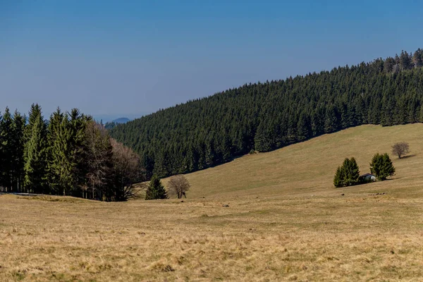 Wandern Verschiedenen Orten Durch Den Thüringer Wald Thringer Wald Deutschland — Stockfoto