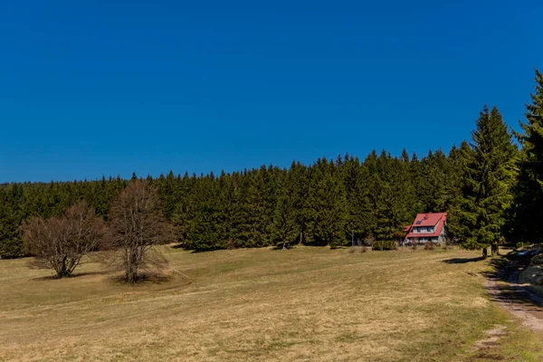 Thringer Wald Almanya Thringer Ormanı Boyunca Farklı Yerlerde Yürüyüş Yapmak — Stok fotoğraf